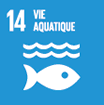 ODD 14 : Vie aquatique